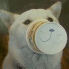 Ugo