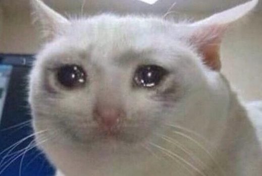 gato-chorando